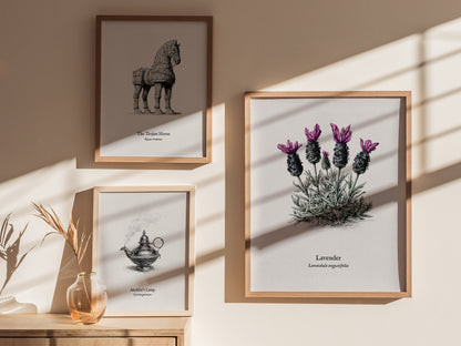 Lavender Poster | Lavandula angustifolia Pen and Ink Print Vintage Botanical Illustration Wall Art — styled in a modern inter