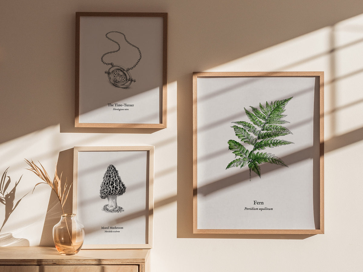 Fern Poster | Pteridium aquilinum Vintage Pen and Ink Print Scientific Illustration Wall Art — styled in a modern interior