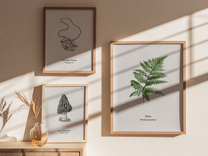 Fern Poster | Pteridium aquilinum Vintage Pen and Ink Print Scientific Illustration Wall Art — styled in a modern interior