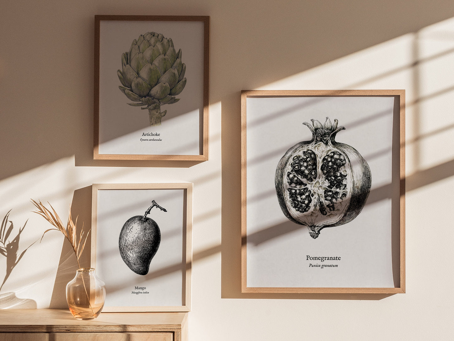 Pomegranate Poster | Vintage Punica granatum Botanical Illustration Wall Art — styled in a modern interior