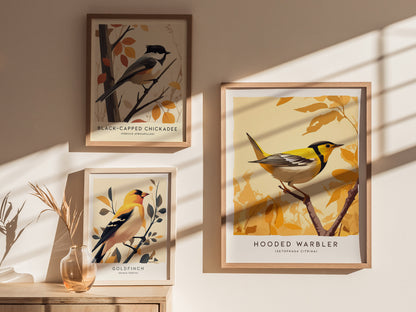 Hooded Warbler Poster | Modern Bird Wall Art Decor