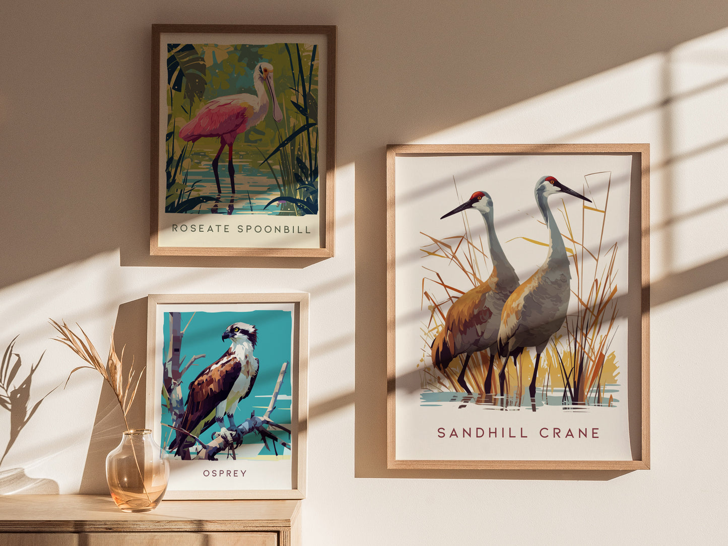 Three framed bird posters are displayed on a wall: a roseate spoonbill, an osprey, and a pair of sandhill cranes, with sunlight casting shadows across them.