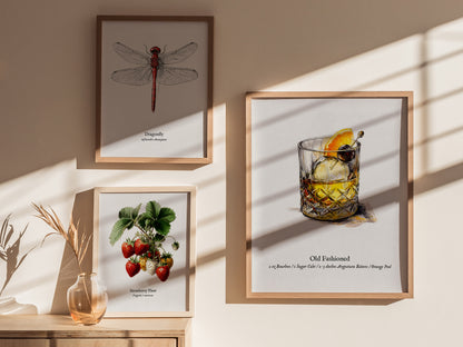 Old Fashioned Cocktail Poster | Vintage Pen & Ink Scientific Illustration Wall Art — styled in a modern interior