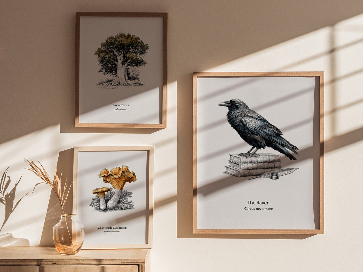 The Raven Poster | Corvus Nevermore Pen and Ink Print Zoological Illustration Wall Art — styled in a modern interior