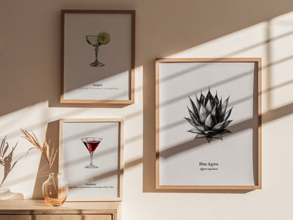 Blue Agave Poster | Vintage Agave Tequilana Botanical Illustration Wall Art — styled in a modern interior