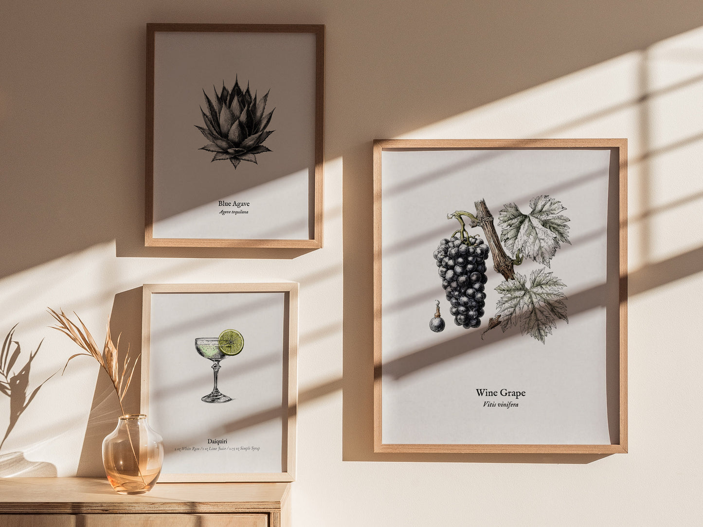 Wine Grape Poster | Vintage Vitis vinifera Botanical Illustration Wall Art — styled in a modern interior