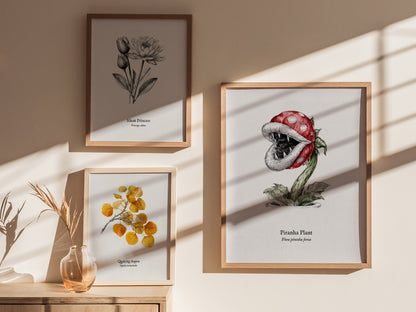 Piranha Plant Poster | Flora Piranha Ferox Pen and Ink Print | Vintage Scientific Illustration Wall Art — styled in a modern