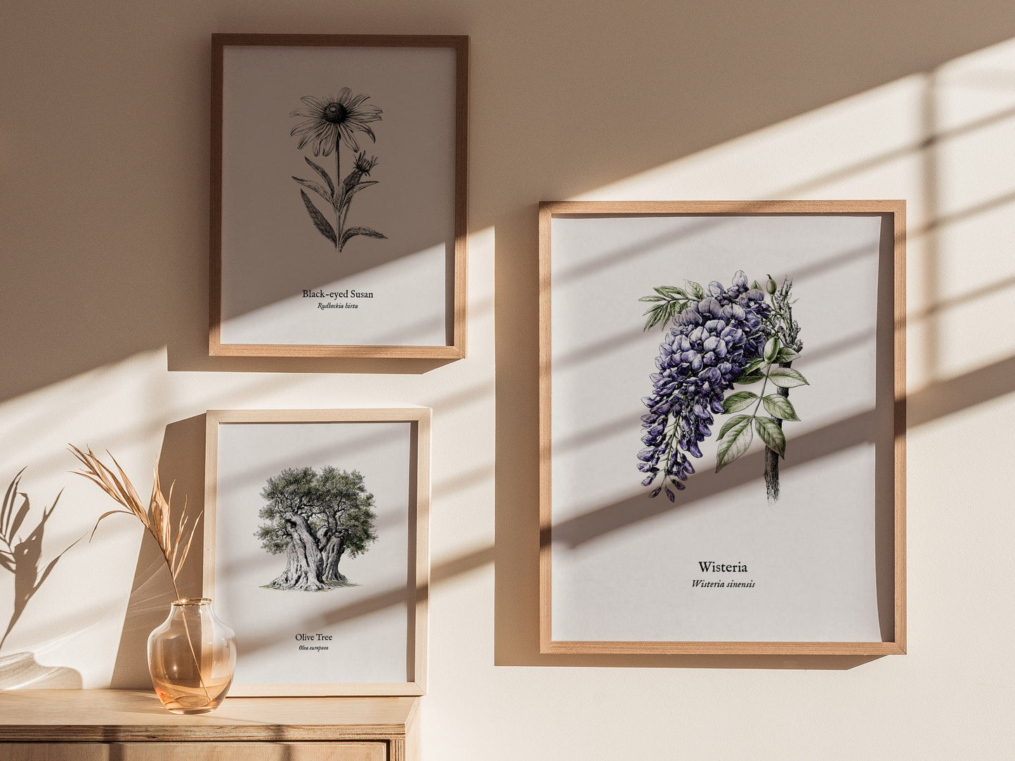 Wisteria Poster | Vintage Wisteria sinensis Botanical Illustration Wall Art — styled in a modern interior