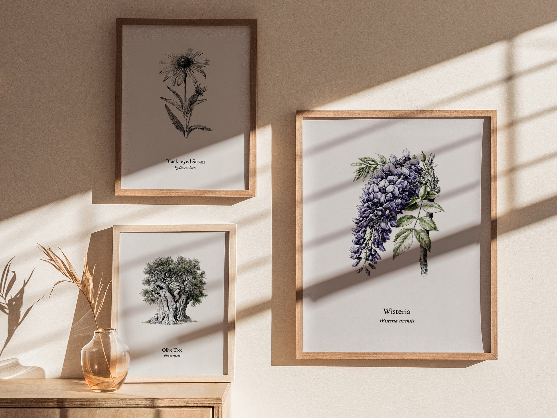 Wisteria Poster | Vintage Wisteria sinensis Botanical Illustration Wall Art — styled in a modern interior
