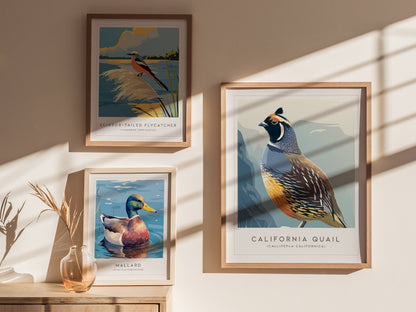 California Quail Poster | Golden State Bird Illustration Wall Art — styled in a modern interior