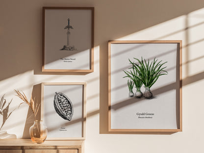 Gysahl Greens Poster | Brassica chocobonis Pen and Ink Print Vintage Botanical Illustration — styled in a modern interior