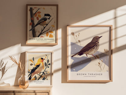 Brown Thrasher Audubon Print | Modern Bird Lover Wall Art | Framed or Unframed