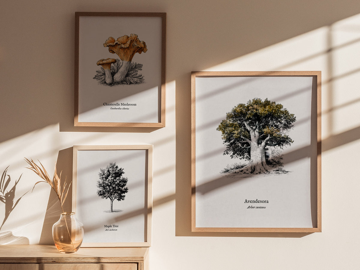 Avendesora Poster | Arbor Cantans Pen and Ink Print | Vintage Botanical Illustration Wall Art — styled in a modern interior