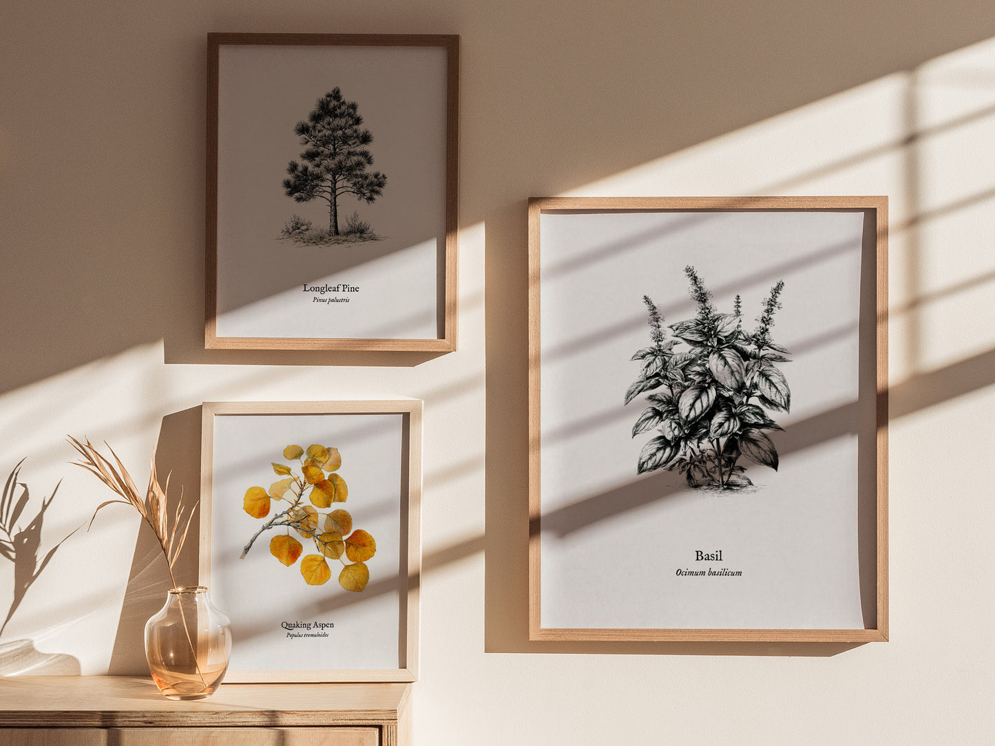 Basil Poster | Ocimum basilicum Pen and Ink Print | Vintage Botanical Illustration Wall Art — styled in a modern interior