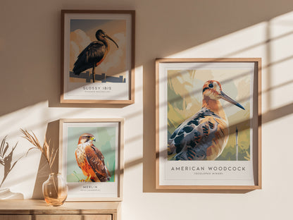 American Woodcock Poster | Woodland Shorebird Nature Illustration Wall Art — styled in a modern interior