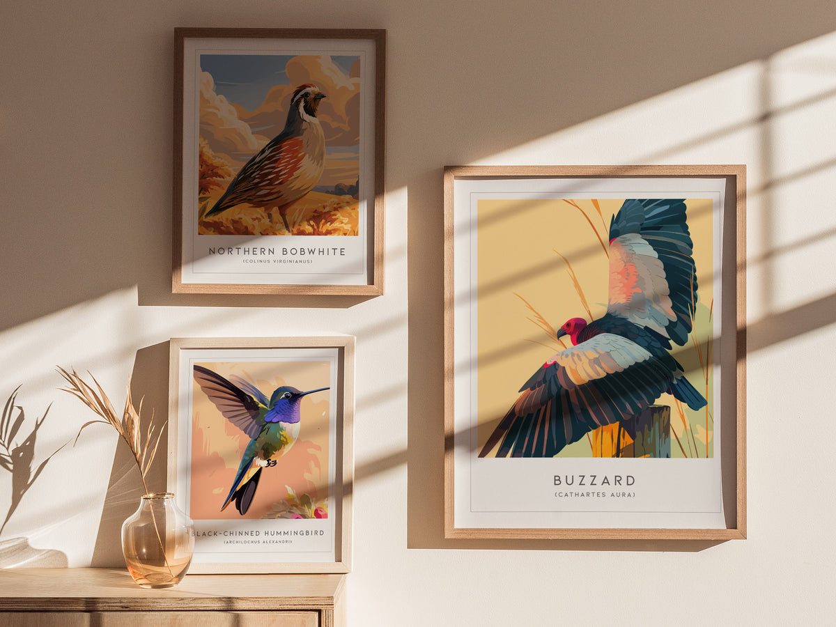 Buzzard, Cathartes aura Poster | Turkey Vulture Bird Wall Art — styled in a modern interior