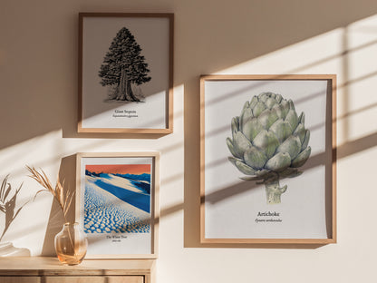 Artichoke Poster | Vintage Cynara Cardunculus Botanical Illustration Wall Art — styled in a modern interior