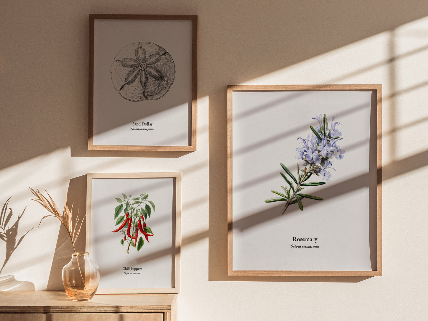 Rosemary Poster | Vintage Salvia Rosmarinus Botanical Illustration Wall Art — styled in a modern interior