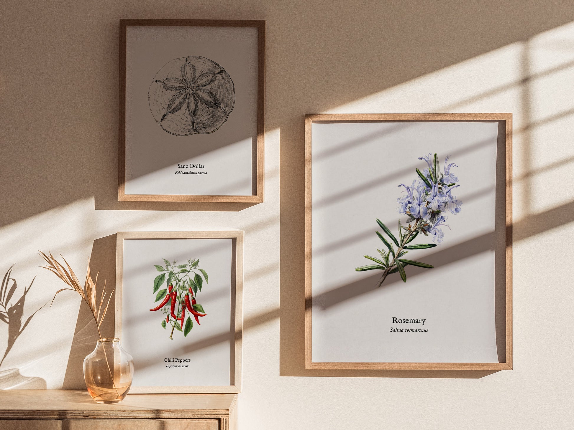 Rosemary Poster | Vintage Salvia Rosmarinus Botanical Illustration Wall Art — styled in a modern interior
