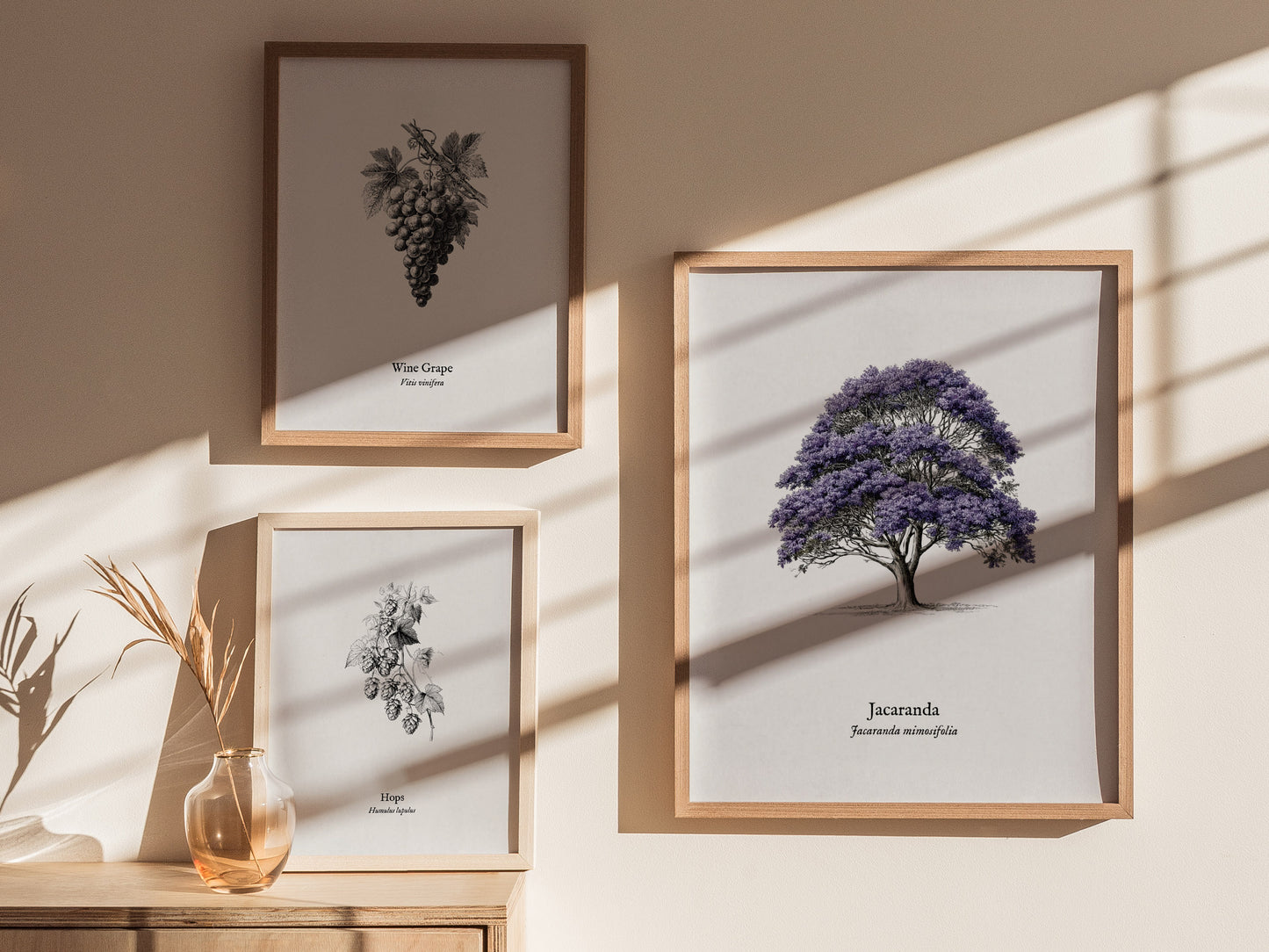 Jacaranda Poster | Vintage Jacaranda mimosifolia Botanical Illustration Wall Art — styled in a modern interior