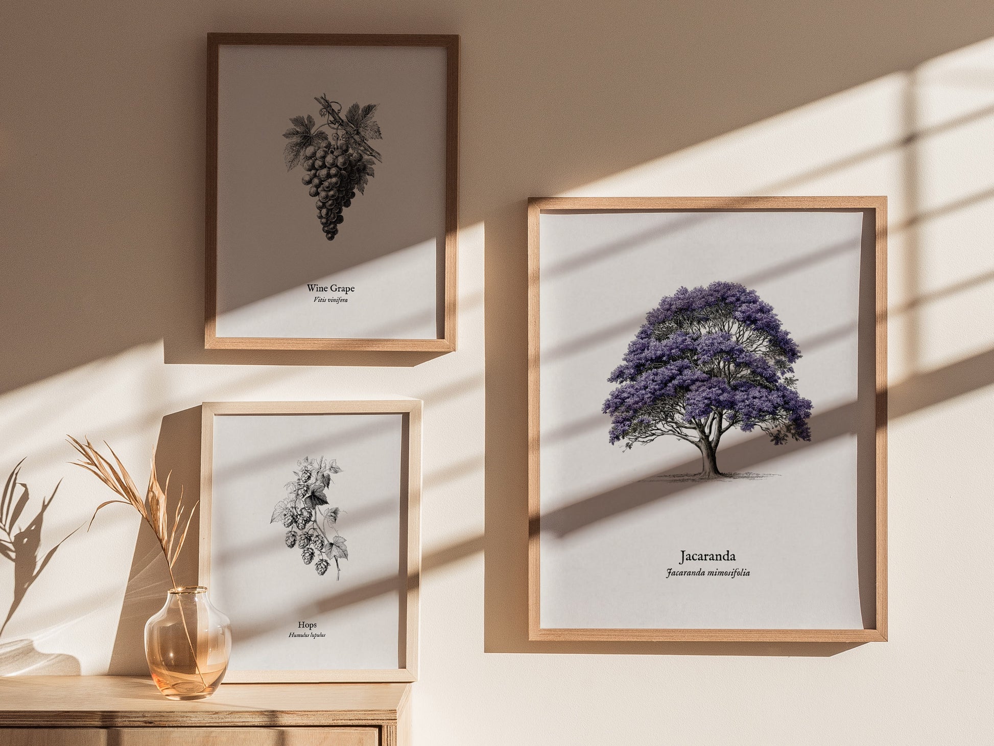 Jacaranda Poster | Vintage Jacaranda mimosifolia Botanical Illustration Wall Art — styled in a modern interior