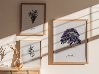 Jacaranda Poster | Vintage Jacaranda mimosifolia Botanical Illustration Wall Art — styled in a modern interior