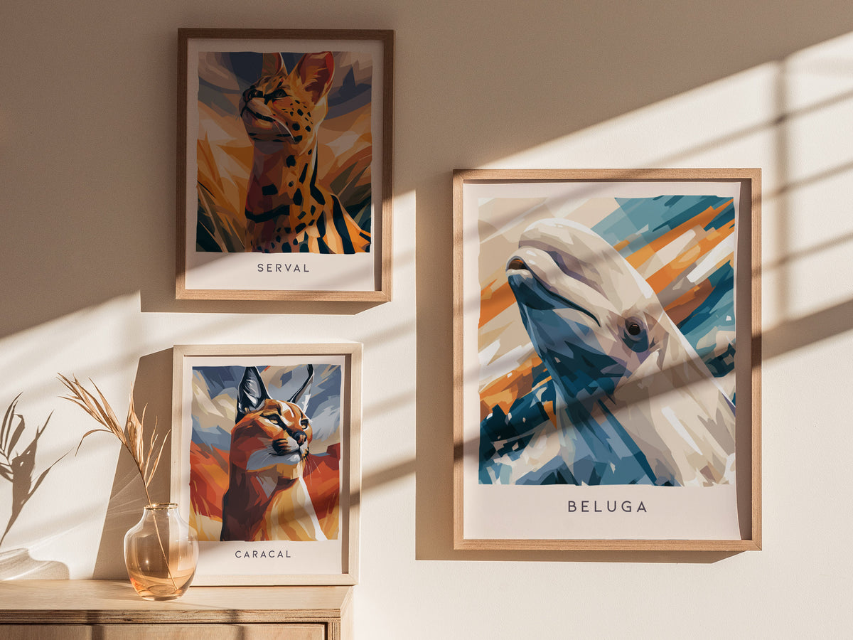 Beluga, Delphinapterus leucas Poster | Arctic Ocean Wildlife Wall Art — styled in a modern interior