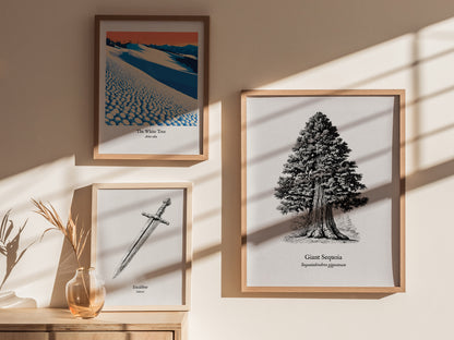 Giant Sequoia Poster | Vintage Sequoiadendron Giganteum Botanical Illustration Wall Art — styled in a modern interior
