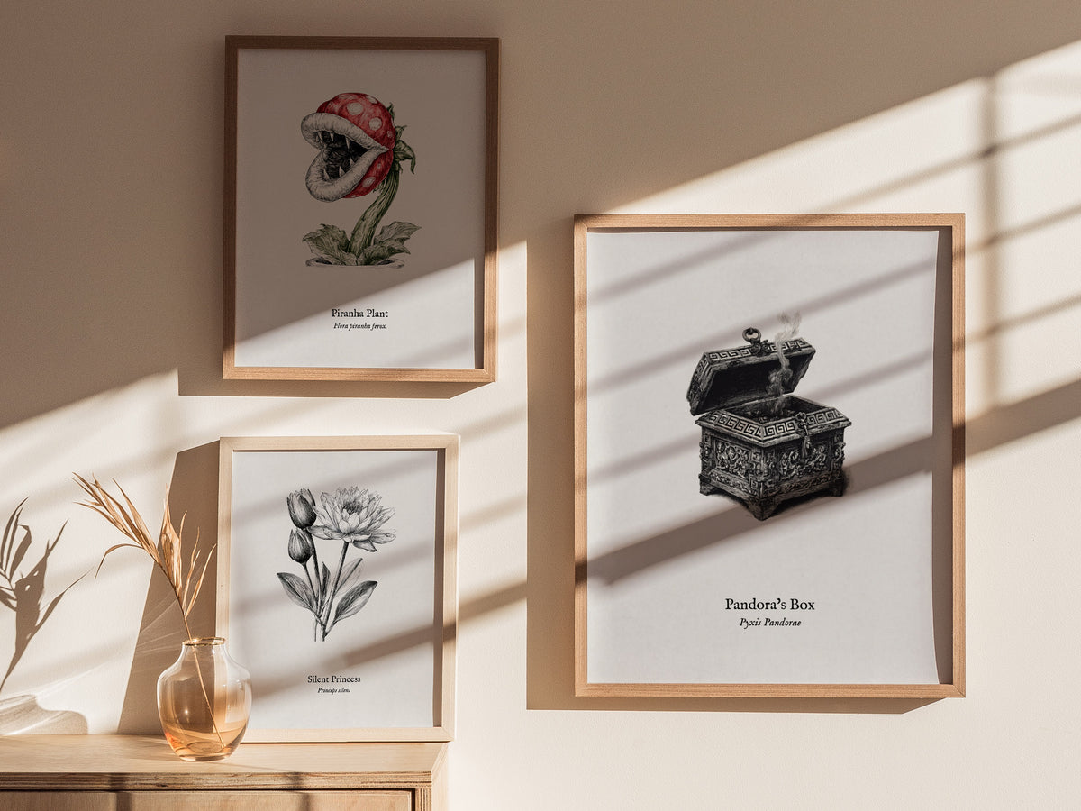 Pandora's Box Poster | Pyxis Pandorae Pen and Ink Print Vintage Scientific Illustration Wall Art — styled in a modern interio