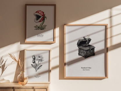 Pandora's Box Poster | Pyxis Pandorae Pen and Ink Print Vintage Scientific Illustration Wall Art — styled in a modern interio