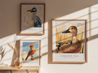 Cinnamon Teal, Spatula cyanoptera Poster | Vibrant Wetland Bird Wall Art — styled in a modern interior
