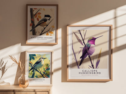Calliope Hummingbird Audubon Print | Bird Lover Wall Art | Framed or Unframed