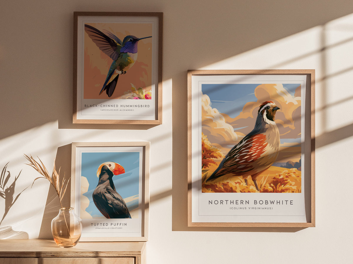 Northern Bobwhite, Colinus virginianus Poster | Quail Bird Wall Art Wildlife Print — styled in a modern interior
