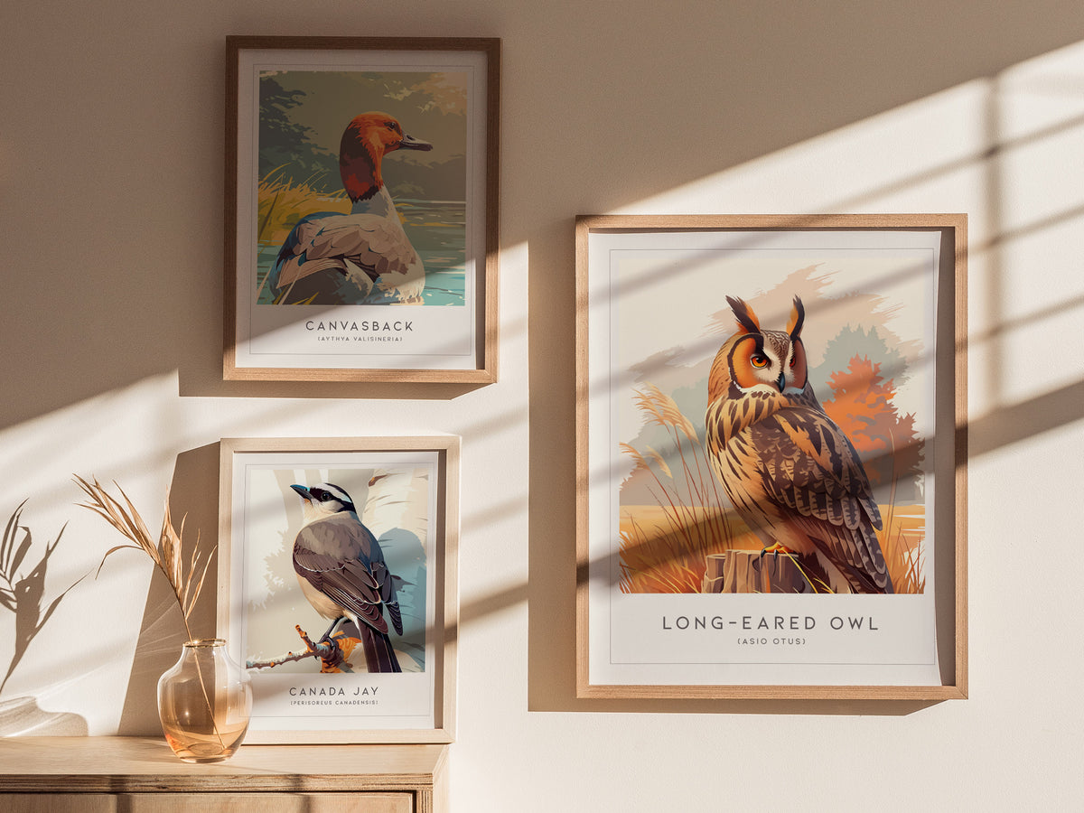 Long-eared Owl, Asio otus Poster | Mysterious Forest Raptor Bird Wall Art — styled in a modern interior