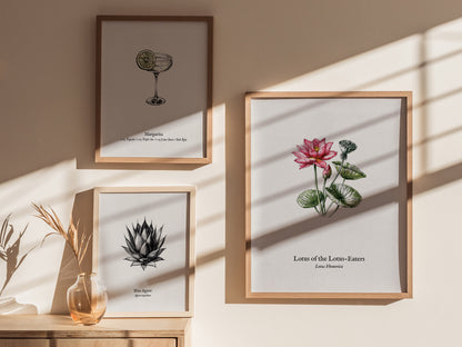 Lotus of the Lotus-Eaters Poster | Vintage Lotus Homerica Scientific Illustration Wall Art — styled in a modern interior