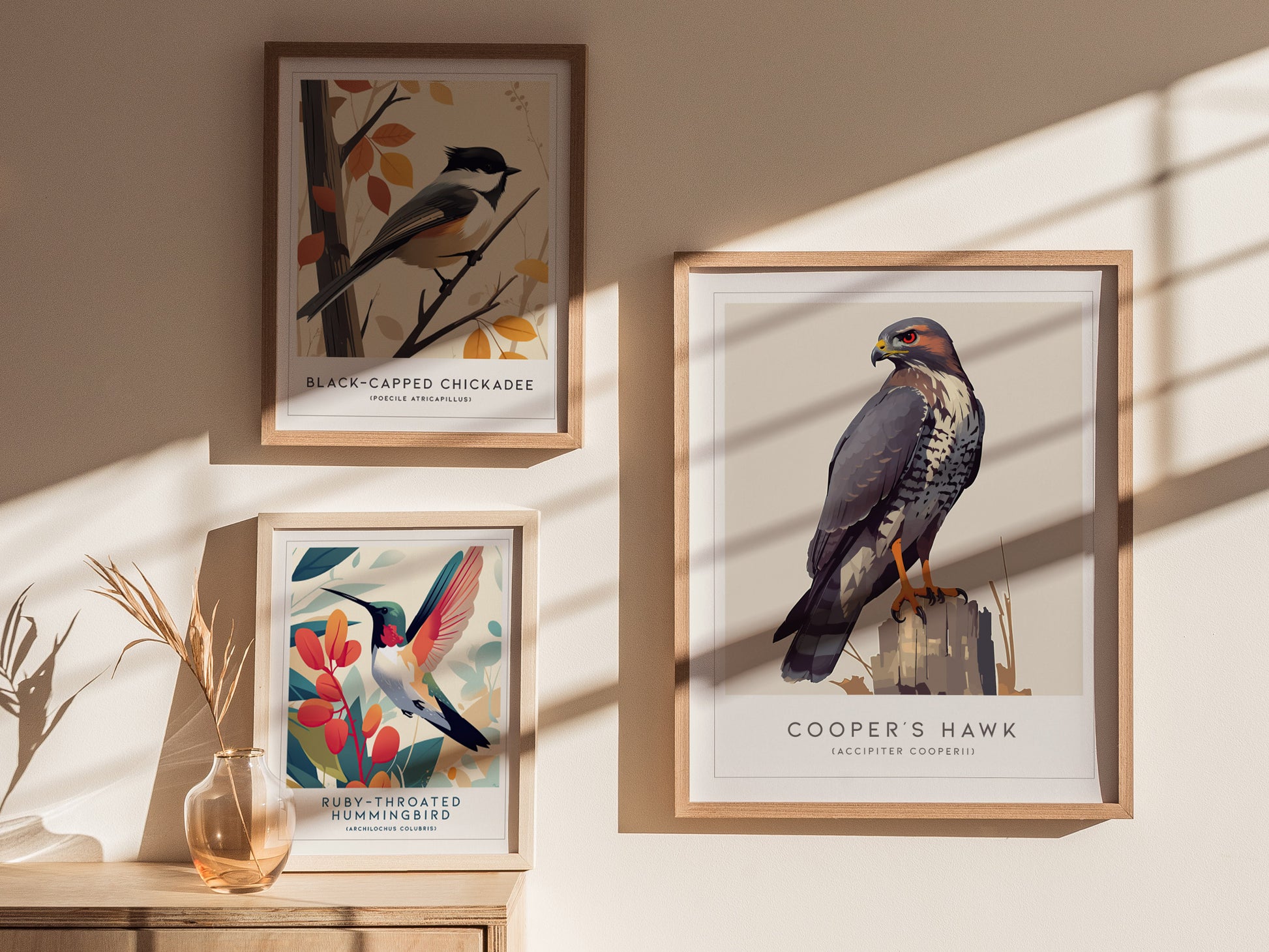 Cooper's Hawk Audubon Print | Bird Lover Modern Wildlife Wall Art | Framed or Unframed