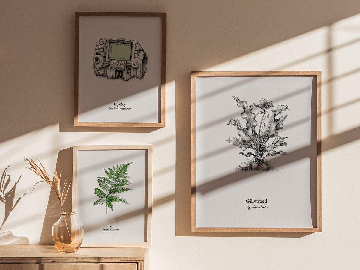 Gillyweed Poster | Algae Branchialis Pen and Ink Print Vintage Scientific Illustration — styled in a modern interior