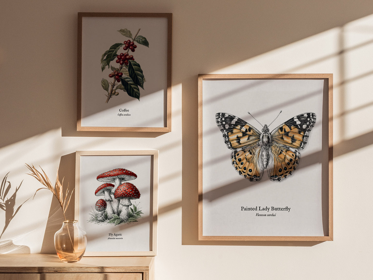 Painted Lady Butterfly Poster | Vintage Vanessa cardui Zoological Illustration Wall Art — styled in a modern interior