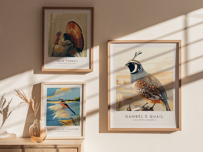Gambel's Quail, Callipepla gambeli Poster | Desert Bird Wall Art Wildlife Print — styled in a modern interior