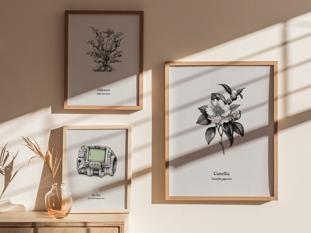 Camellia Poster | Camellia japonica Pen and Ink Print — Vintage Botanical Illustration Wall Art — styled in a modern interior