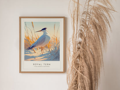 Royal Tern Framed Poster | Beach Bird Lover Modern Wall Art | Audubon Tropical Nature Print | Coastal Cottage Decor