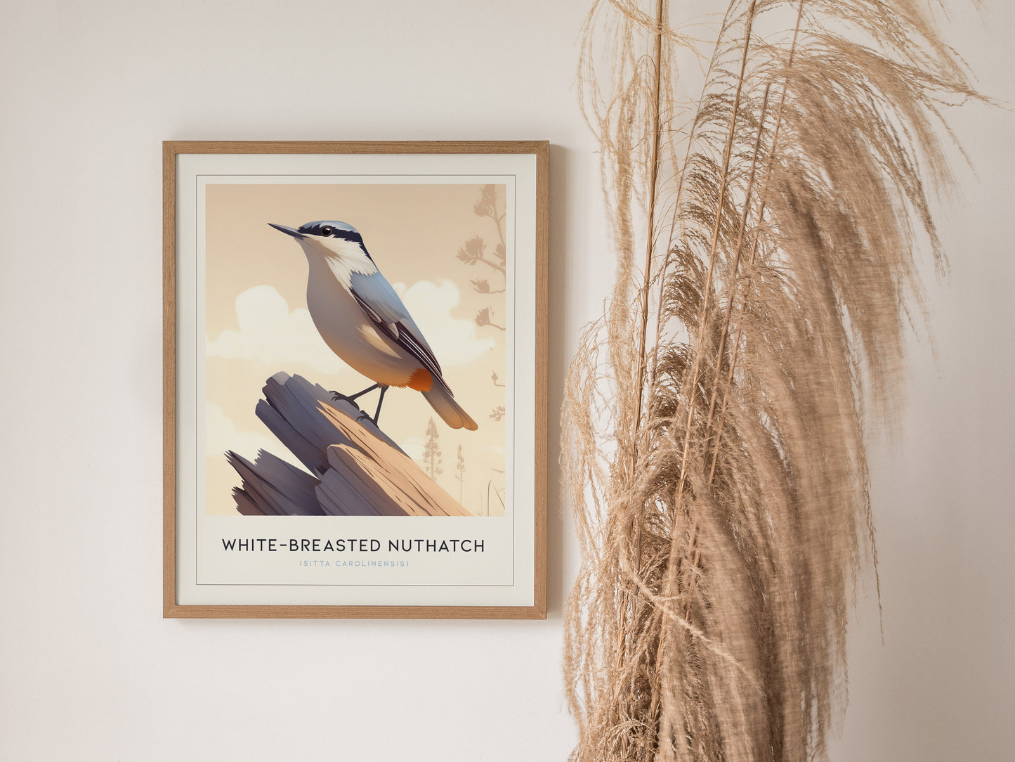 White-Breasted Nuthatch Poster | Minimalist Bird Art Birdwatcher Gift