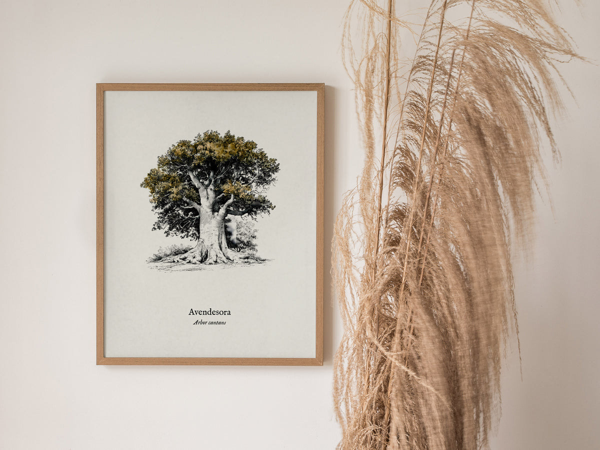 Avendesora Poster | Arbor Cantans Pen and Ink Print | Vintage Botanical Illustration Wall Art — styled in a modern interior