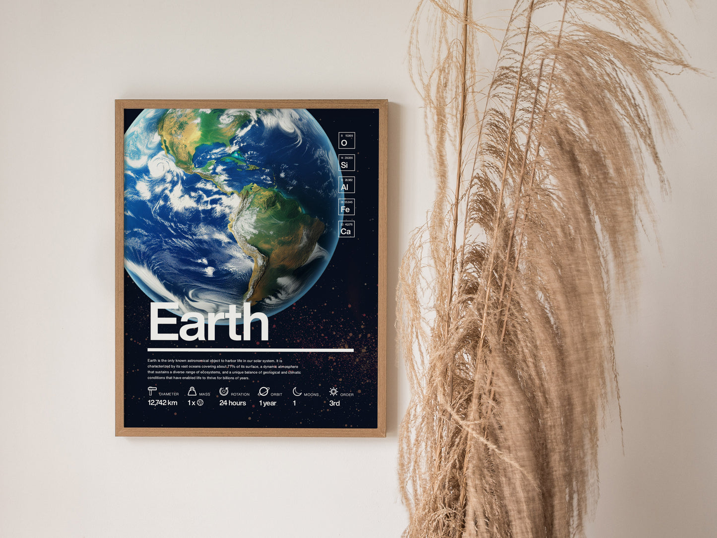 A framed Earth poster showcasing a detailed image of the planet with scientific data, set against a neutral wall beside dried pampas grass.
