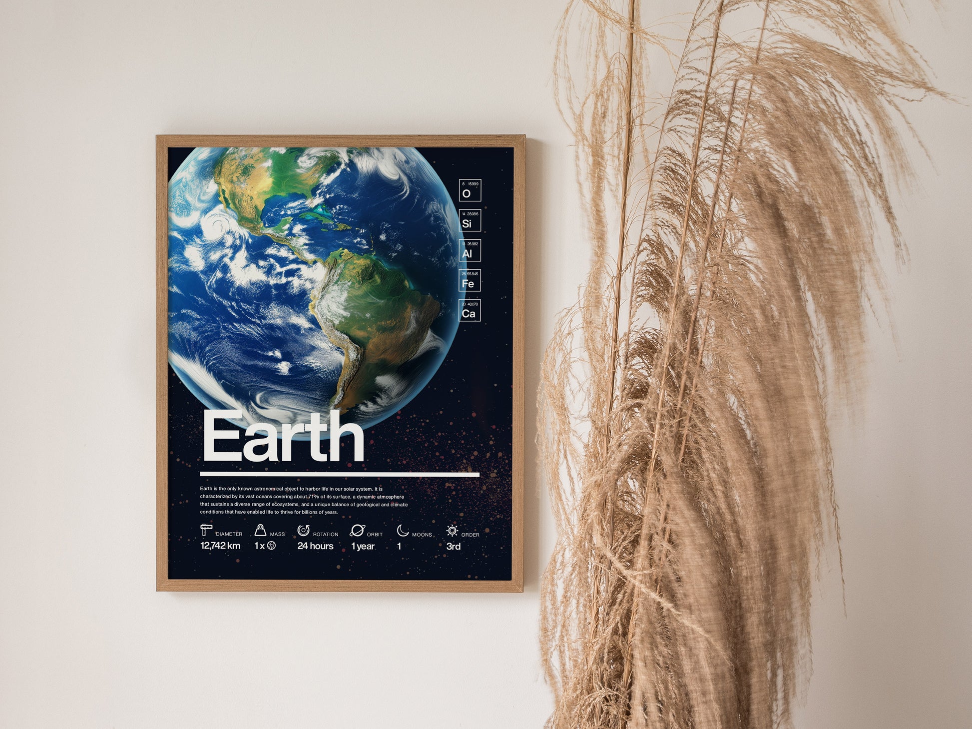 A framed Earth poster showcasing a detailed image of the planet with scientific data, set against a neutral wall beside dried pampas grass.