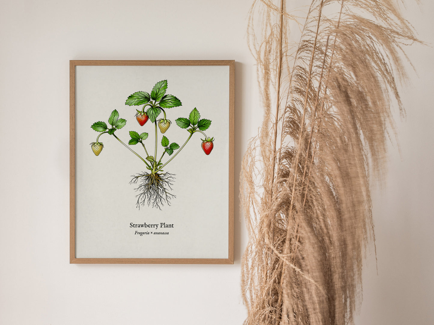 Strawberry Plant Poster | Vintage Fragaria × ananassa Botanical Illustration Wall Art — styled in a modern interior