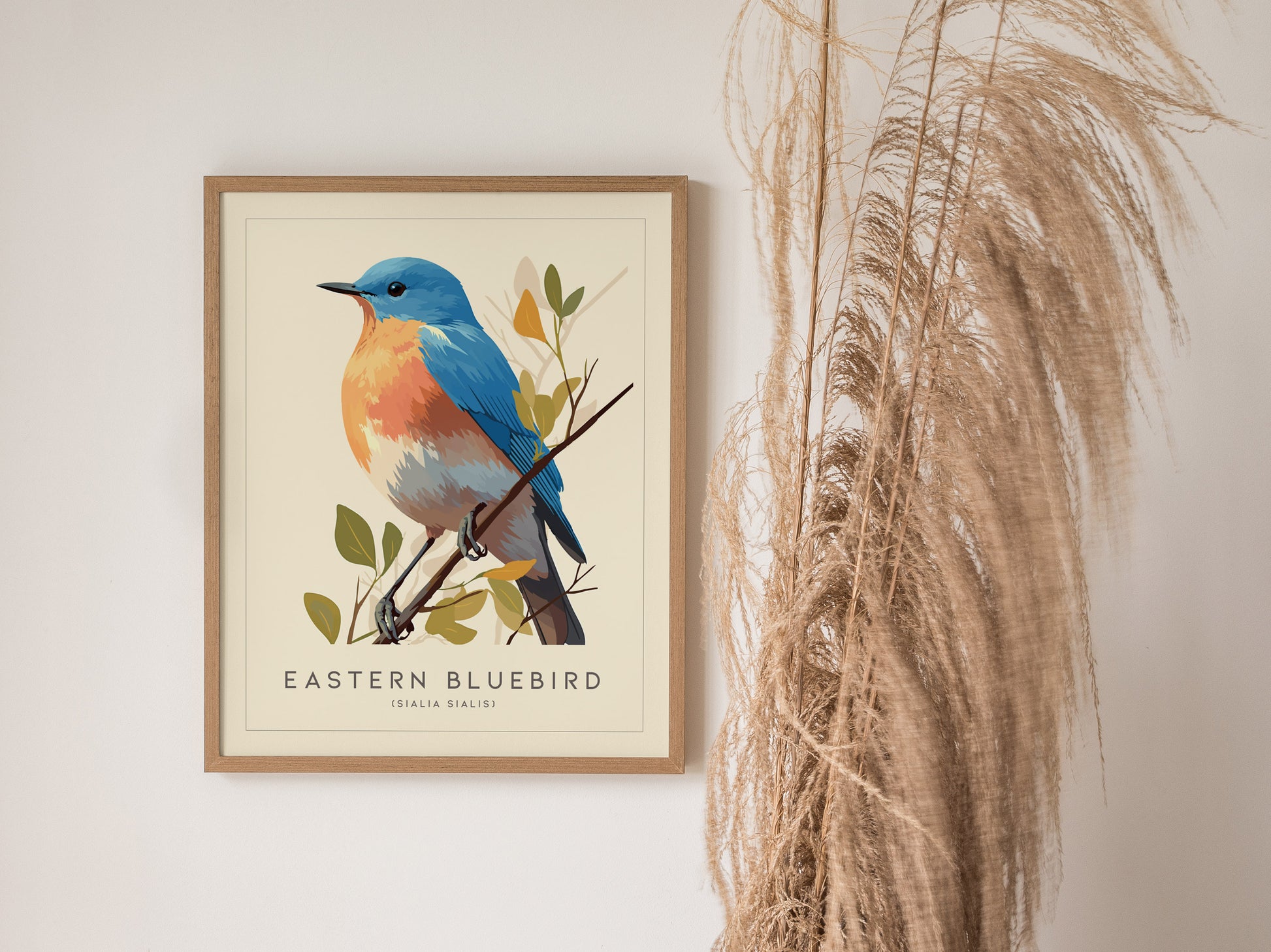 Eastern Bluebird Audubon Print | Bird Lover Cottagecore Wall Art | Framed or Unframed