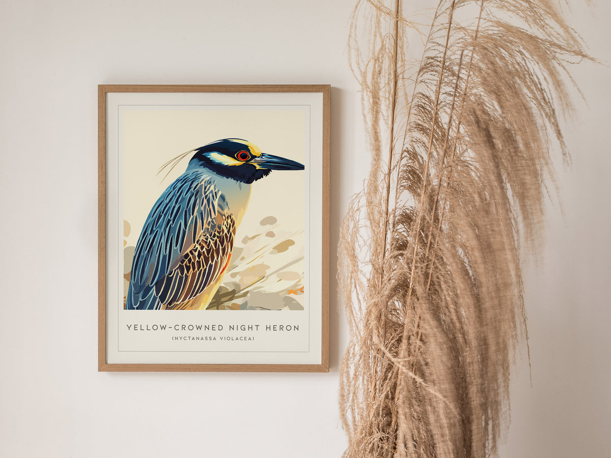 Yellow-crowned Night Heron, Nyctanassa violacea Poster | Elegant Wading Bird Wall Art — styled in a modern interior
