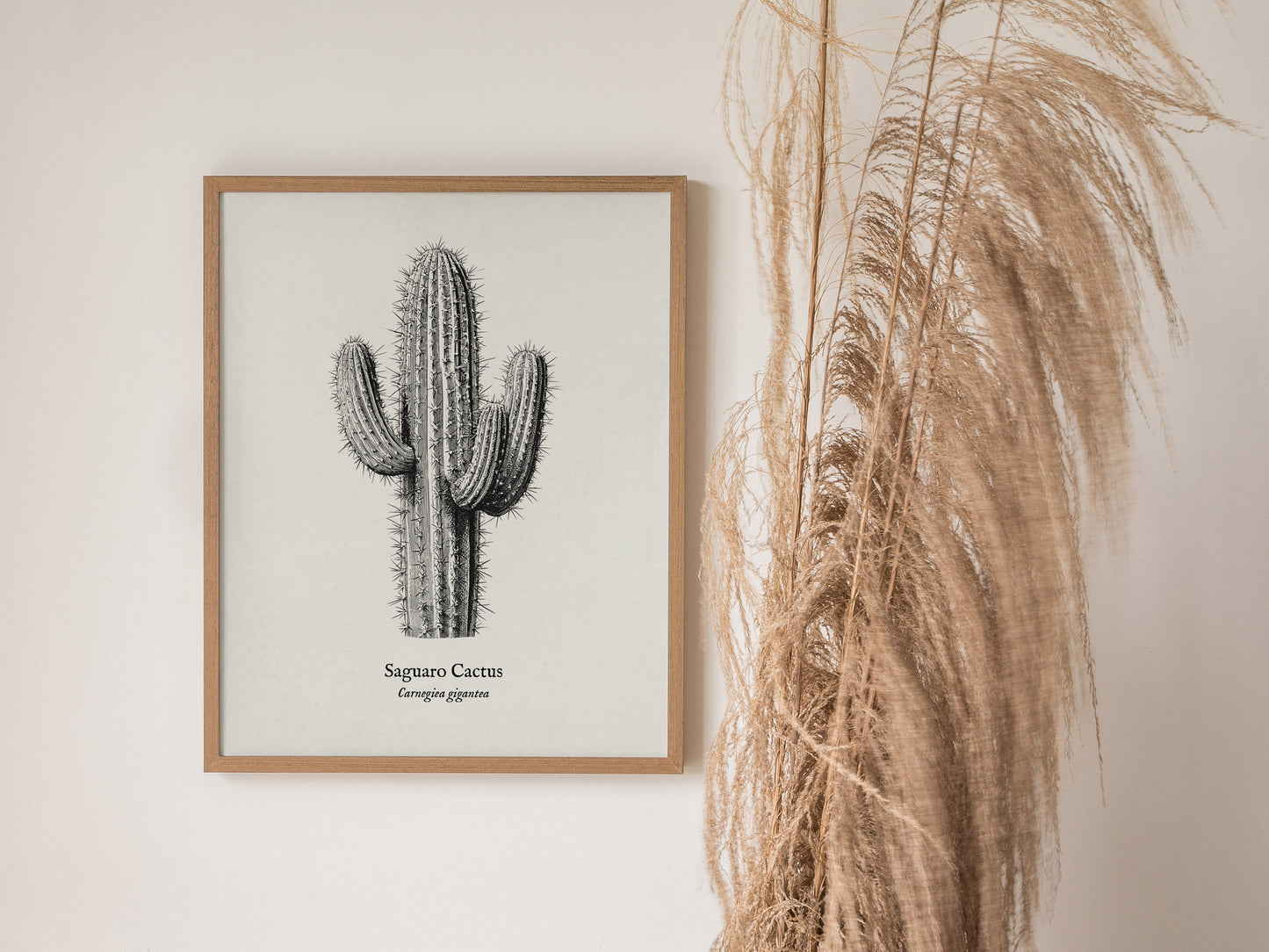 Saguaro Cactus Poster | Vintage Carnegiea gigantea Botanical Illustration Wall Art — styled in a modern interior
