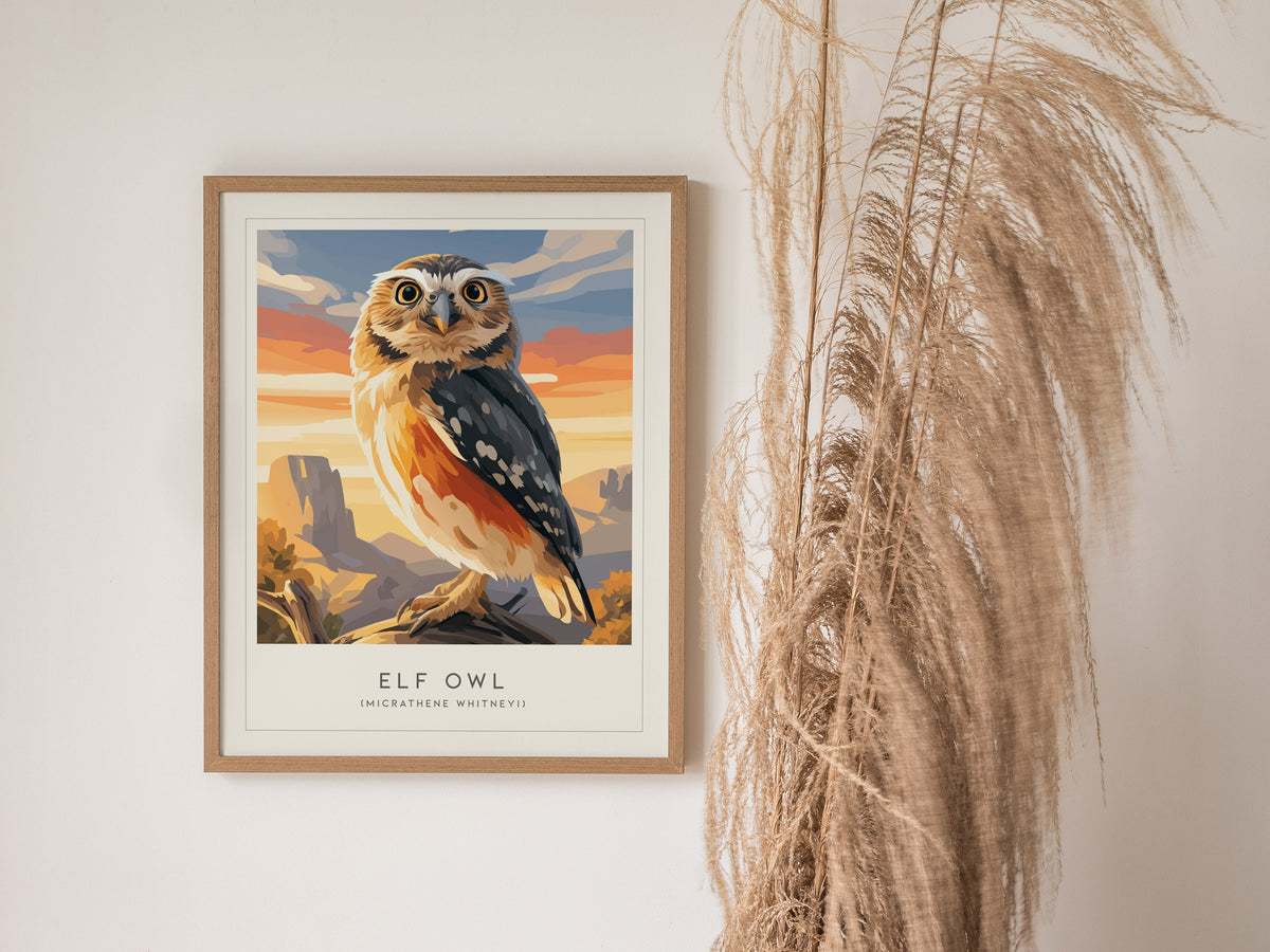 Elf Owl Poster | Desert Night Tiny Owl Wall Art — styled in a modern interior